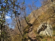 50 In decisa salita mentre termina il bosco